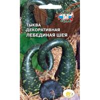 Тыква Лебединая Шея Седек