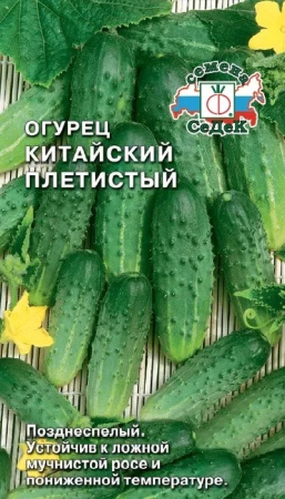 Огурец Китайский плетистый УГ Седек