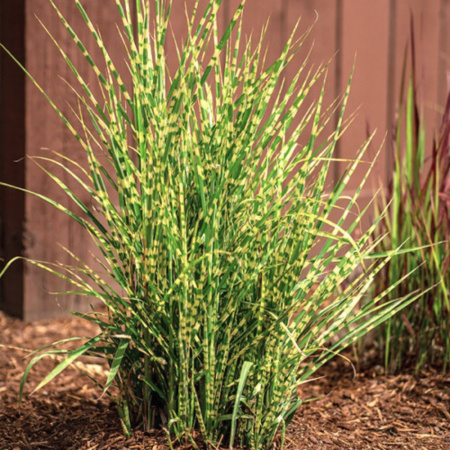 89l9sq6lcw3qyrbmcj4t8b3gjcvb0rkq