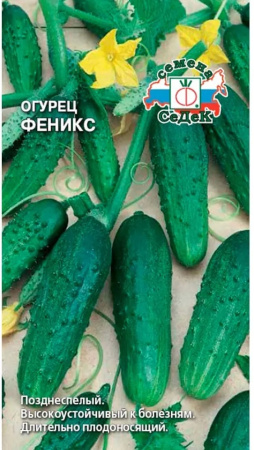 Огурец Феникс Седек