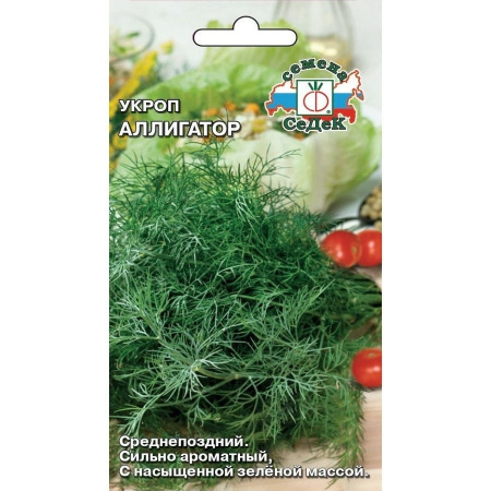 Укроп Аллигатор Седек