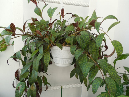 7621a2224385fd3430088312c2d797fcc0b6d828 (1)