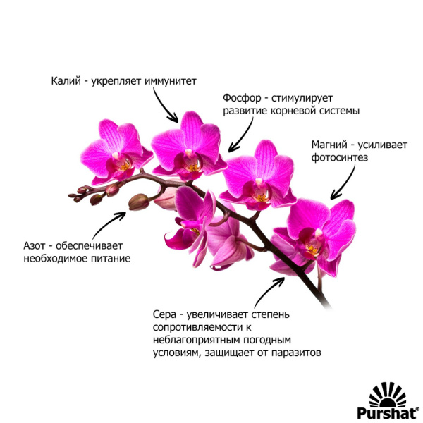 Пуршат-М спрей для орхидей 0,5л