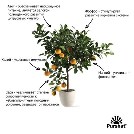 Пуршат-М спрей для цитрусовых 0,5л