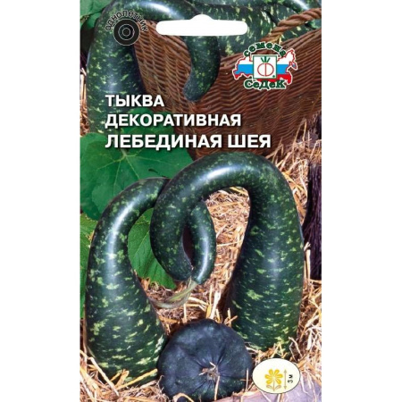 Тыква Лебединая Шея Седек