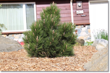 706424c842929b0bf5a7ee808aae