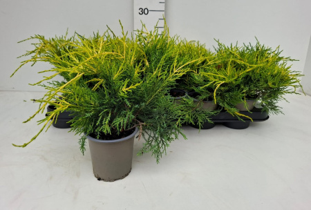 5f810e37-e2ec-454e-9515-5d707debf022