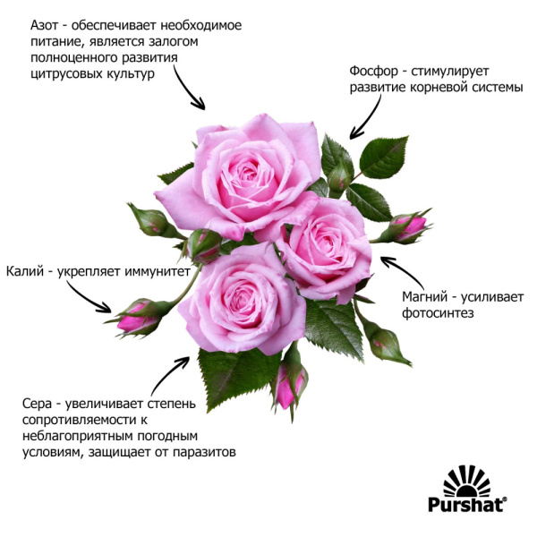 Пуршат-М спрей для роз 0,5л