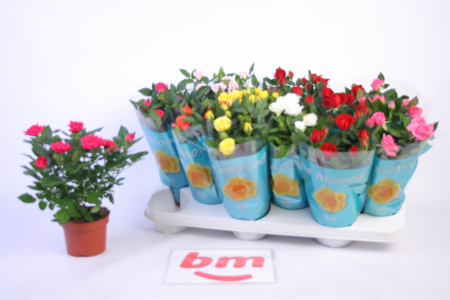 00ed685a-a291-4129-9f43-c03764c65bf1