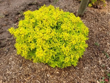 F_22XA2CSyzYtG6GseJwCCXsNshJ599WFbnCShR6-GvDu3YTrsMZQQcmuZC3RI5SgyRJht_ICDTKSi9e0kWp1lLo10lsh0MgyJAnosGrfEgR2Tr4EK7nRyjx6koZM1ySFlvrrk9rucT2-tjxxjXPfu